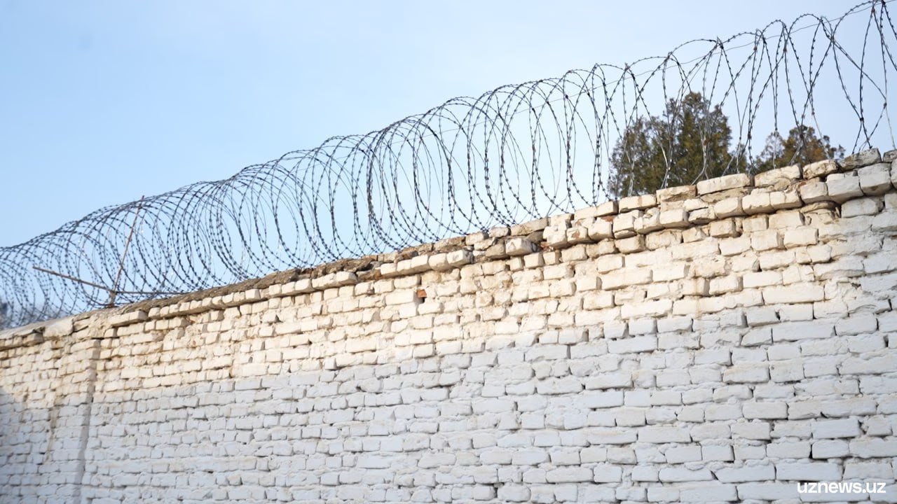 Второй шанс запускается проект адаптации молодёжи отбывшей наказание Молодых людей освободившихся из учреждений исполнения наказаний будут обучать IT специальностям и иностранным языкам   uznews uz ru news 107657 uznews