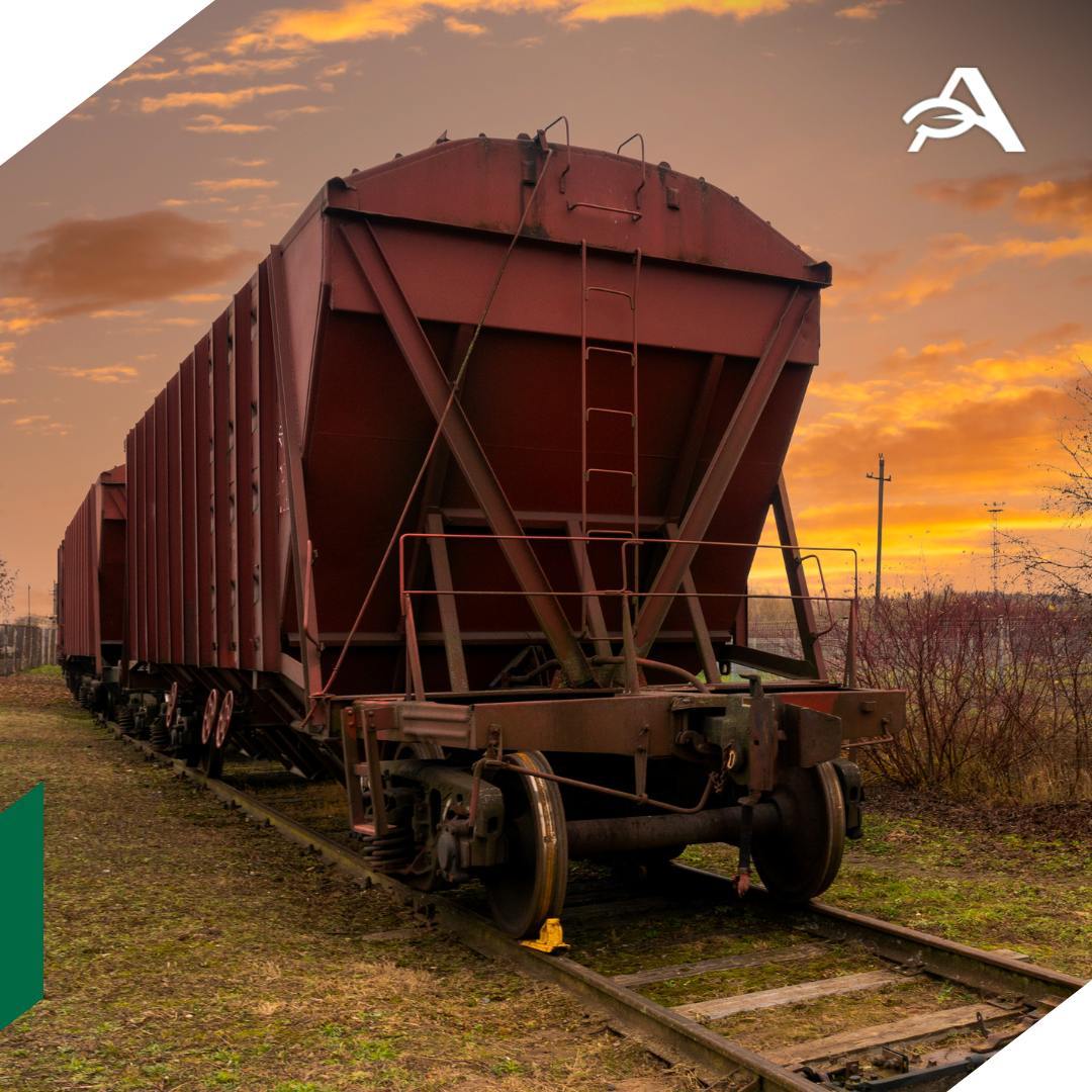 Погрузка удобрений на сети РЖД сохраняет рост Благодаря новому урожаю третий месяц подряд увеличивается погрузка зерна плюс 8 в августе 4 6 в сентябре 22 6 в октябре Продолжает расти и вывоз удобрений рост на 9 1 в сентябре и на 6 6 в октябре сообщается в комментарии железнодорожного холдинга Отправки зерна по сети РЖД в январе октябре сохранили отрицательную динамику снизились на 21 1 год к году до 20 4 млн тонн В это же время перевозки химических и минеральных удобрений удерживают рост на 4 7 до 58 5 млн тонн По итогам 2024 года отправки зерна по сети РЖД снизились на 4 6 до 31 2 млн тонн но выросли поставки удобрений на 6 2 до 67 7 млн тонн agroexpert Наши каналы