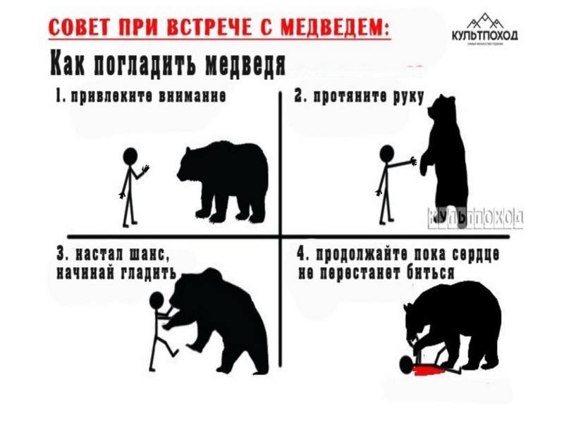 «Мам, мам, смотри, как я могу!» Или новость, которую мы заслужили Недавно в сети появилась новость, что поздно вечером в кемпинг в Малке забрел медведь, который, как у себя дома, стал слизывать остатки туристической снеди со столов. Самое удивительное в этой истории — не факт появления медведя. На Камчатке подобное норма. А то, что один из гостей палаточного лагеря начал стримить на фоне косолапого издалека, разумеется . Хм, а почему бы и нет? Мобильный интернет LTE здесь работает на ура. МТС поставила дополнительное оборудование в Малке и вдоль реки Ключевки, чтобы в пиковые нагрузки летнего сезона такие вот отчаянные головы могли свободно пользоваться привычными цифровыми сервисами. Ходят слухи, что сторожа лагеря специально подкармливают косолапых, дабы те своими визитами «развлекали» туристов. Но мы, конечно, в это не верим. Потому что кормить диких животных нельзя.