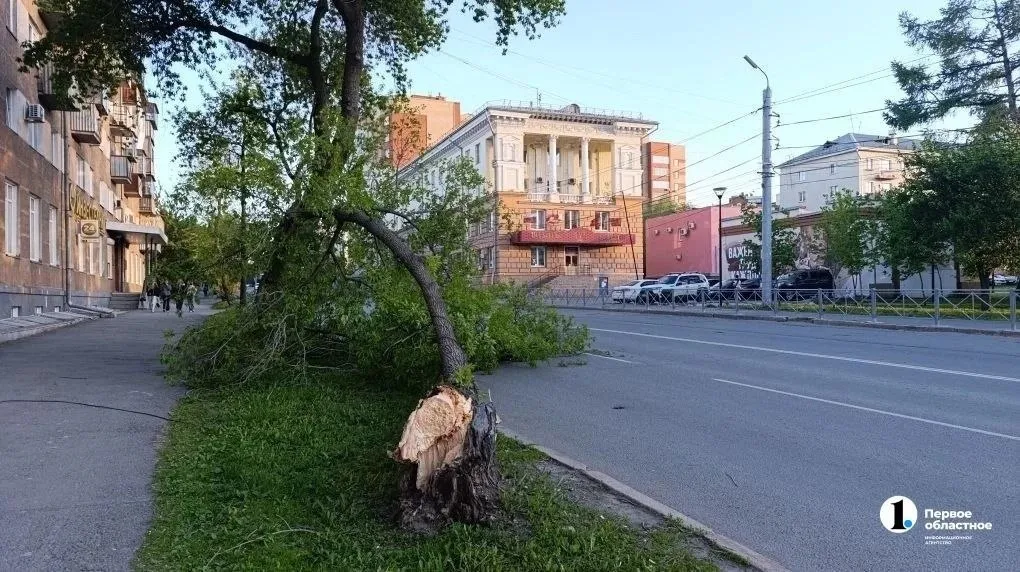 Челябинск Главное В центре Челябинска ветер сорвал несколько деревьев Так рухнуло дерево на пересечении улиц Елькина и Тимирязева В городе оперативно устраняют повреждения Глава Алексей Лошкин дал поручение оперативно реагировать на обращения жителей по поводу упавших деревьев а также переполненных контейнерных площадок с которых разлетается мусор Мы в MAX VK Сайт ТГ