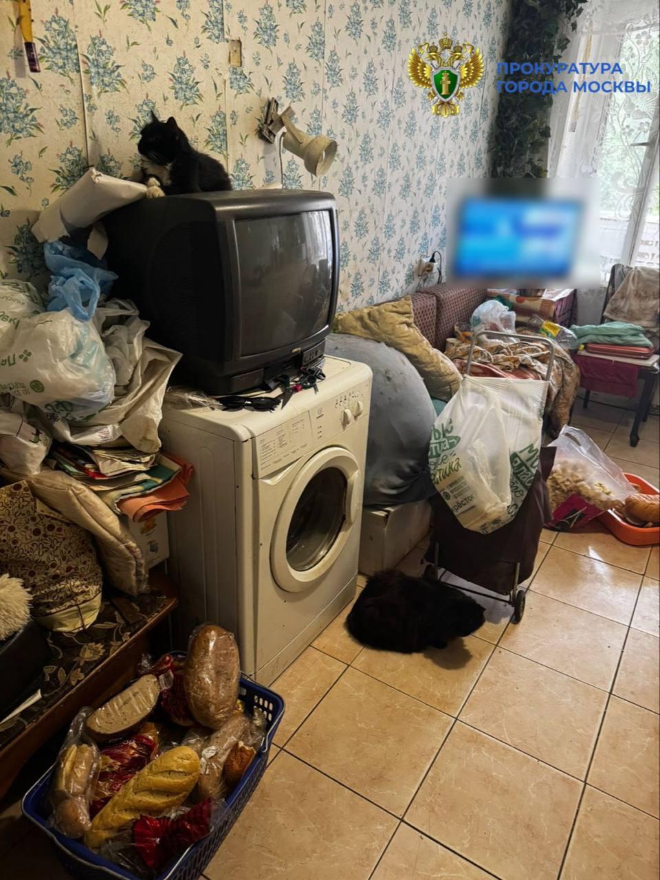 Прокуратура требует запретить москвичу содержать четырех кошек в квартире из-за антисанитарии. Об этом сообщили в пресс-службе прокуратуры Москвы.  Как пояснили в пресс-службе, надлежащий уход за животными не осуществляется, а в воздухе превышена концентрация аммиака в 12 раз.     / Москва