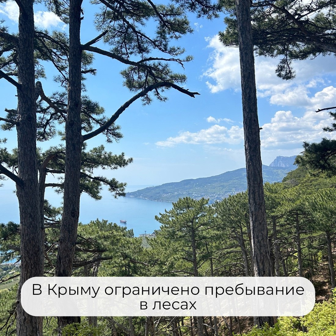 В Крыму продлено ограничение на пребывание в лесах С целью обеспечения пожарной безопасности на территории республики сохраняются ограничения на пребывание граждан в лесах, а также въезд в них транспортных средств. О том, где можно отдохнуть и что ни в коем случае нельзя делать — в карточках. #РеспубликаКрым