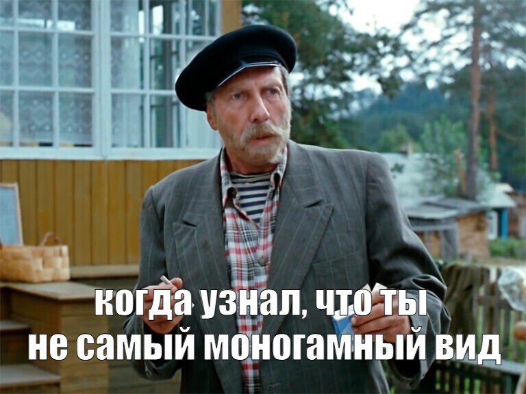 Люди оказались на седьмом месте в рейтинге самых моногамных животных Согласно научной статье Марка Дибла в журнале Proceedings of the Royal Society люди заняли седьмое место в рейтинге видов с наиболее выраженной моногамией Первое место досталось калифорнийским хомячкам В тройку лидеров также вошли гиеновидные собаки и дамарский пескорой Люди расположились между бобрами и белорукими гиббонами Ещё бы знать кто такой дамарский пескорой