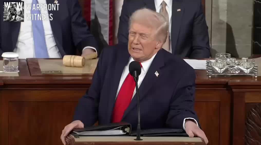 Дональд Трамп призывает к запрету выдачи водительских прав мигрантам после ДТП с Делайлой Колберн