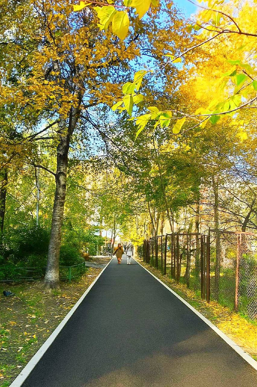 Аллею вдоль школ 56 и 76 на Некрасовской предлагают благоустроить жители Они разработали концепцию благоустройства и подали ее на краевой конкурс Твой проект Если проект войдет в число победителей здесь появится пешеходная дорожка с асфальтом и бордюрами бетонные полусферы ограничивающие заезд автомобилей а также новые деревья и кустарники Поддержать инициативу и ознакомиться с другими проектами участниками можно на портале pib primorsky ru до 21 декабря Пять проектов из Владивостока набравшие наибольшее количество голосов получат три миллиона рублей на реализацию в 2026 году Благоустройство Читайте наши новости в МАХ