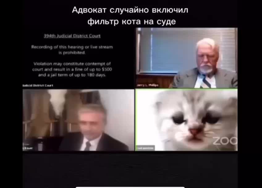 Адвокат случайно появился в суде с фильтром кота в Zoom