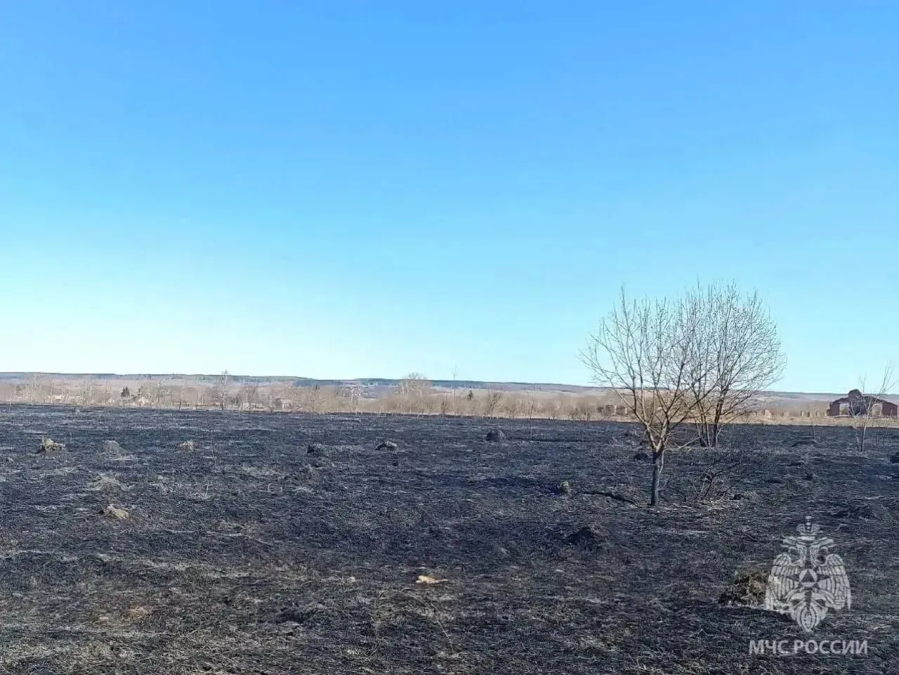 За прошедшие сутки в Нижегородской области зафиксировано четыре случая пала сухой травы Возгорания зафиксированы в Спасском Дивеевском Лукояновском округах а так же в Кстовском районе Огонь прошел более 40 тысяч квадратных метров Погибших и пострадавших нет Материальные ценности не повреждены сообщили в ГУ МЧС по региону  Если у вас не загружается фото заходите в наш MAX   max ru moynizhny