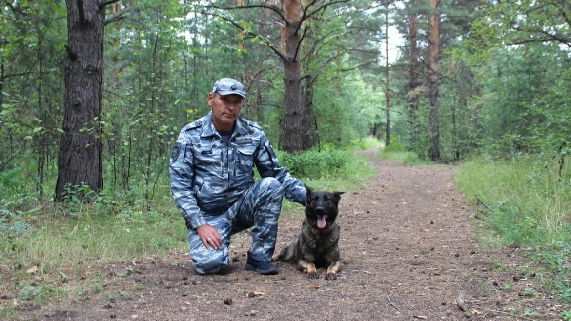 В Красноярском крае кинолог со служебной собакой разыскали потерявшуюся в бору 84-летнюю женщину В дежурную часть МО МВД России «Минусинский» поступило сообщение от жительницы Абакана. Она рассказала, что её 84-летняя подруга, с которой она вместе отдыхала на озере Тагарском, днём пошла в бор и до сих пор не вернулась. На место происшествия незамедлительно прибыл экипаж ППС, сотрудники уголовного розыска, участковый уполномоченный полиции и младший инспектор-кинолог Руслан Чугин со служебной собакой по кличке Рокси. К поискам пенсионерки также подключились спасатели и волонтёры. Уже наутро в лесном массиве четвероногая помощница учуяла запах женщины, взяла след и вывела сотрудника полиции к потерявшейся гражданке. Как выяснилось, жительница Абакана сначала заблудилась, а затем прилегла отдохнуть. Убедившись, что пенсионерка чувствует себя хорошо и в медицинской помощи не нуждается, сотрудник ОВД вместе со своей четвероногой напарницей помог ей добраться до города. В настоящее время её жизни и здоровью ничего не угрожает.