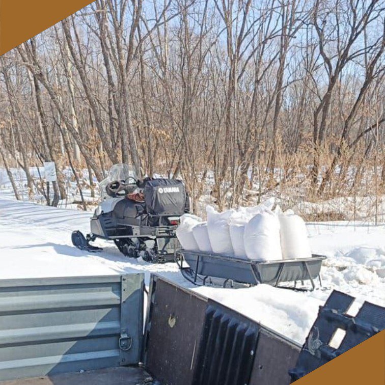 Столовую для лис зайцев лосей и птиц организовали в охотничьих угодьях Биробиджанского и Октябрьского районов ЕАО Зима в Еврейской автономной области время когда особенно важно поддержать диких животных В регионе холодно снега много а пищи в лесу всё меньше Чтобы помочь лисам зайцам лосям и птицам пережить трудный период специалисты проводят биотехнические мероприятия организованную подкормку диких животных Подробнее читайте по ссылке   riabir ru 475943