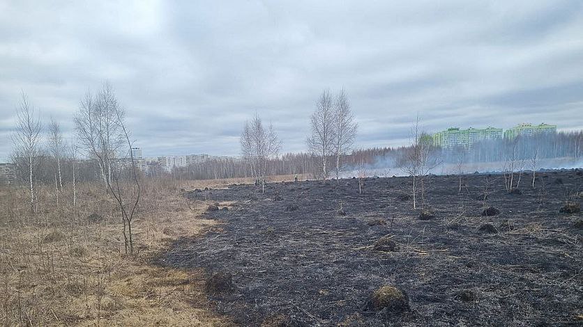 В Орловской области потушили больше 200 возгораний травы  Такова статистика с начала года. Только 21 марта пожарные отработали 33 таких выезда. ЧП случились в Орловском округе, Малоархангельском, Колпнянском, Ливенском, Шаблыкинском, Должанском, Троснянском и Залегощенском районах на площади более 15 гектаров. В данный момент трава горит на улице Раздольной  Фото: ГУ МЧС России по Орловской области    Вести-Орел. Подписаться