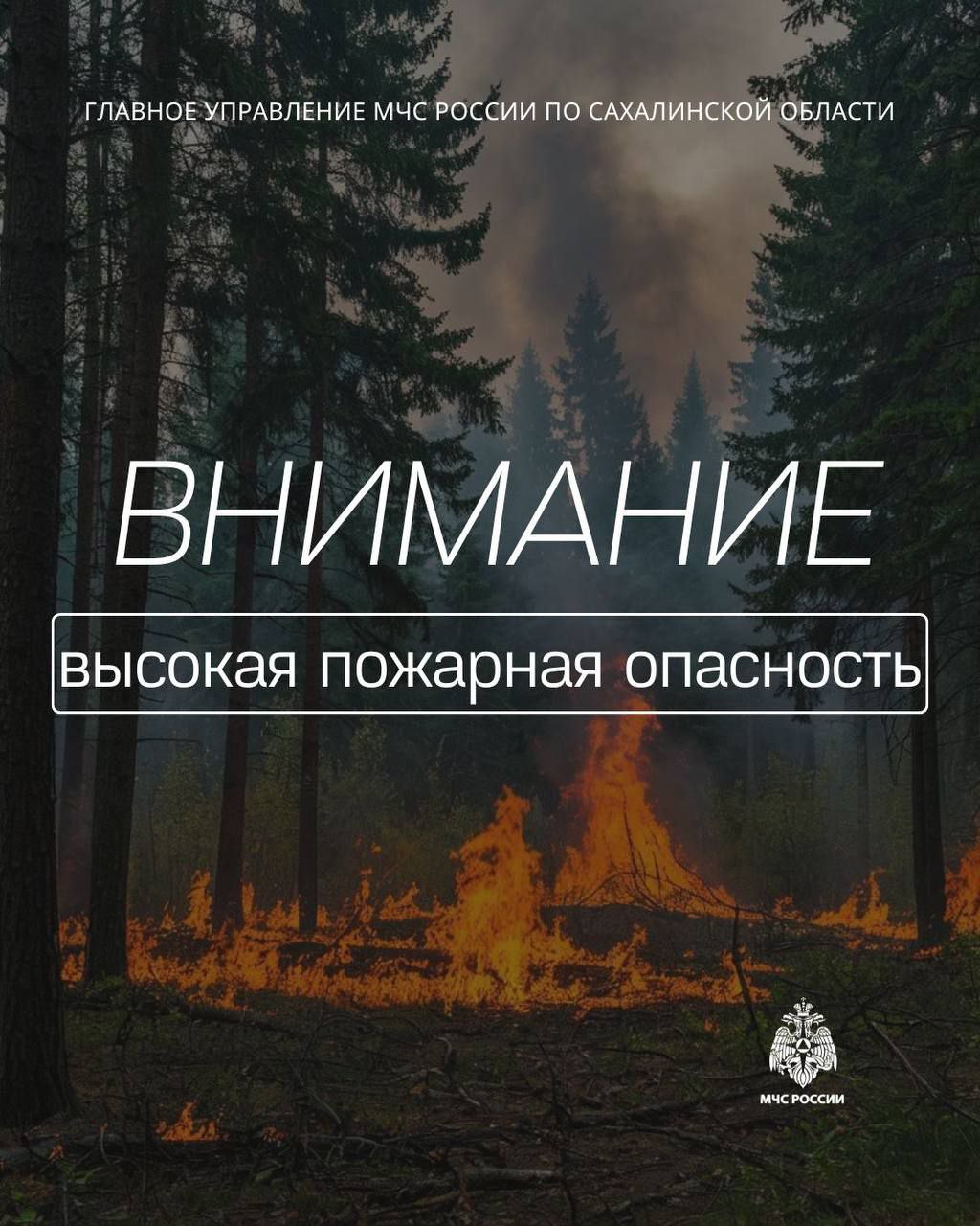 Высокая пожарная опасность прогнозируется в Долинском районе  По информации Сахалинского Росгидромета, 8 - 9 июля 2025 года на территории МО Долинский МО ожидается высокая пожарная опасность  4 класс пожарной опасности .   МЧС России напоминает:  не бросай в лесу горящие спички, окурки, тлеющие тряпки;  не разводи костер в густых зарослях и хвойном молодняке, под низко свисающими кронами деревьев;  не оставляй в лесу самовозгораемый материал: тряпки и ветошь, пропитанные маслом, бензином, стеклянную посуду, которая в солнечную погоду может сфокусировать солнечный луч и воспламенить сухую растительность;  не выжигай сухую траву в полях и на лесных полянах.   Единый телефон вызова экстренных служб 112.