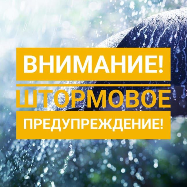 В Приморье объявлено шормовое предупреждение! Вечером 14 июля, в ночь и утро 15 июля на юго-западе Приморского края преимущественно Хасанский район ожидаются сильные дожди с количеством осадков 15–40 мм, а местами — очень сильные дожди — 50 мм и более за 12 часов и менее. Причина — выход на акваторию Японского моря тропической депрессии. Жителей и гостей юго-западных районов Приморья просят соблюдать меры предосторожности и учитывать прогноз при планировании поездок и отдыха на побережье.