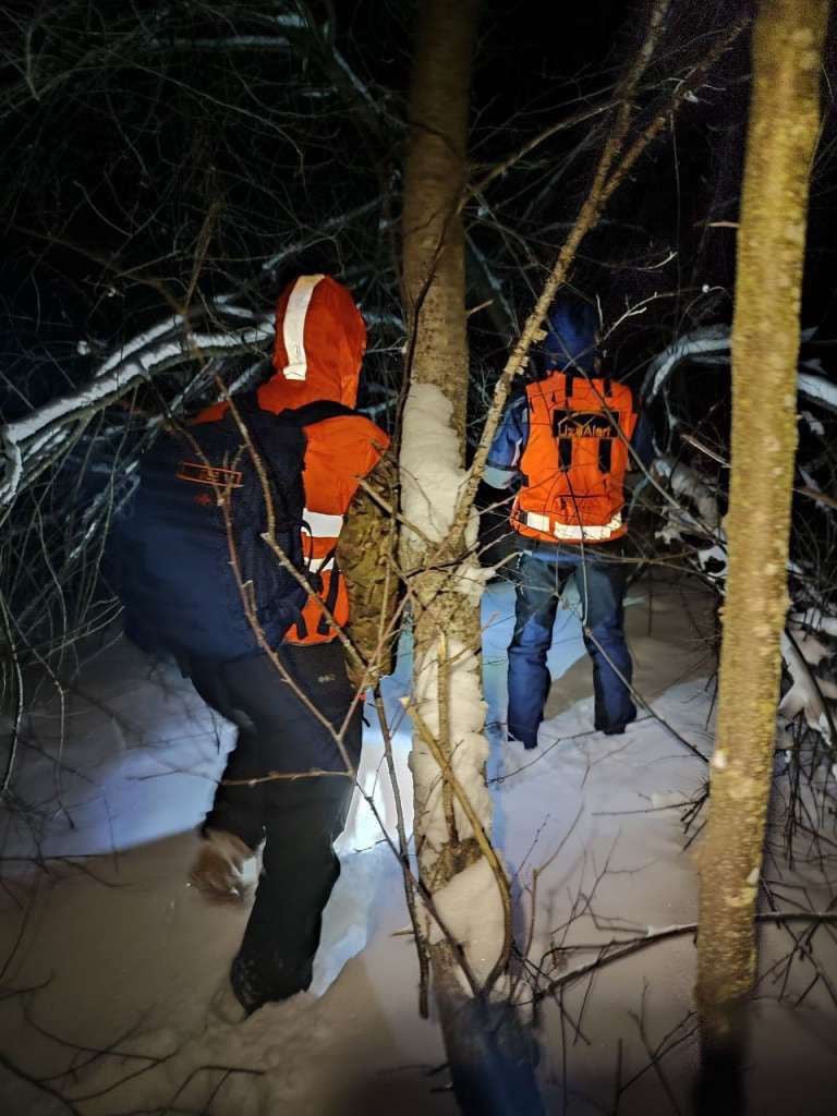 Сразу две ужасные находки обнаружили волонтеры поискового отряда «Лиза Алерт»: в районе деревни Шеметово было найдено тело Александра Мишаева, на которого неоднократно распространяли ориентировки. Признаков насилия на теле не обнаружено, скорее всего 24-летний молодой человек просто замерз.  В процессе поисков юноши, недалеко от деревни Бобошино, группа поисковиков наткнулась на труп женщины, которая пропала в этом же районе примерно год назад. Женщину нашли повешенной. По предварительной версии, она покончила с собой.