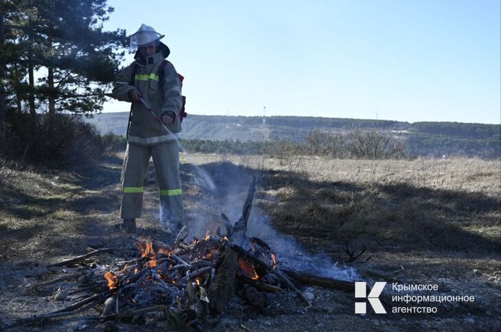 В Крыму за сутки произошло шесть пожаров Шесть пожаров из них три – сухой растительности произошло в Крыму за сутки. Об этом сообщили в МЧС. Так, на автодороге Ялта-Севастополь загорелся легковой автомобиль. Площадь возгорания составила 8 кв.м. Никто не пострадал. ЧИТАЙТЕ ТАКЖЕ: 11 человек спасли на пожаре под Феодосией В селе Менделеево Красногвардейского района загорелся одноэтажный дом на площади 70 кв. м. Огонь потушили 9 сотрудников, задействовав 2 единицы техники. В пгт. Мирный под Евпаторией по ул. Сырникова произошло возгорание травы. Площадь пожара составила 20 квадратных метров. Читайте новости Крыма первыми в нашем Telegram-канале.... Подробнее>>>