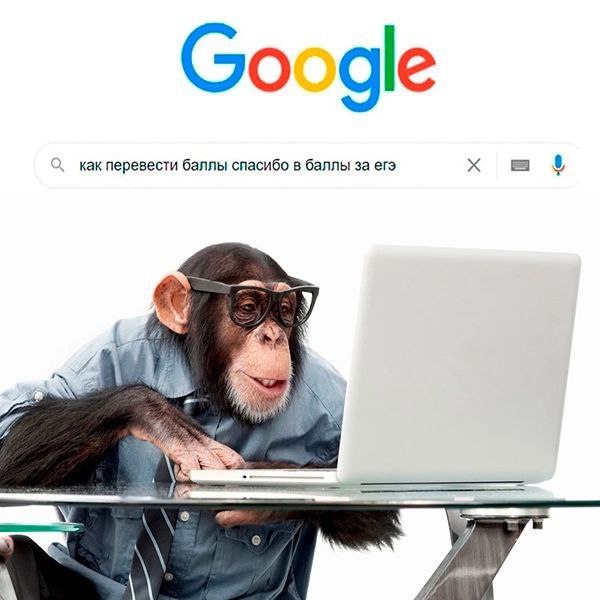 Начать отменять ЕГЭ предложили в Госдуме По словам депутата Петра Толстого отменять помимо отмены Болонской системы нужно менять всю систему В том числе и отмену выпускных экзаменов Заменить ОГЭ и ЕГЭ он предлагает на традиционные выпускные и вступительные экзамены Подписаться   Дать буст