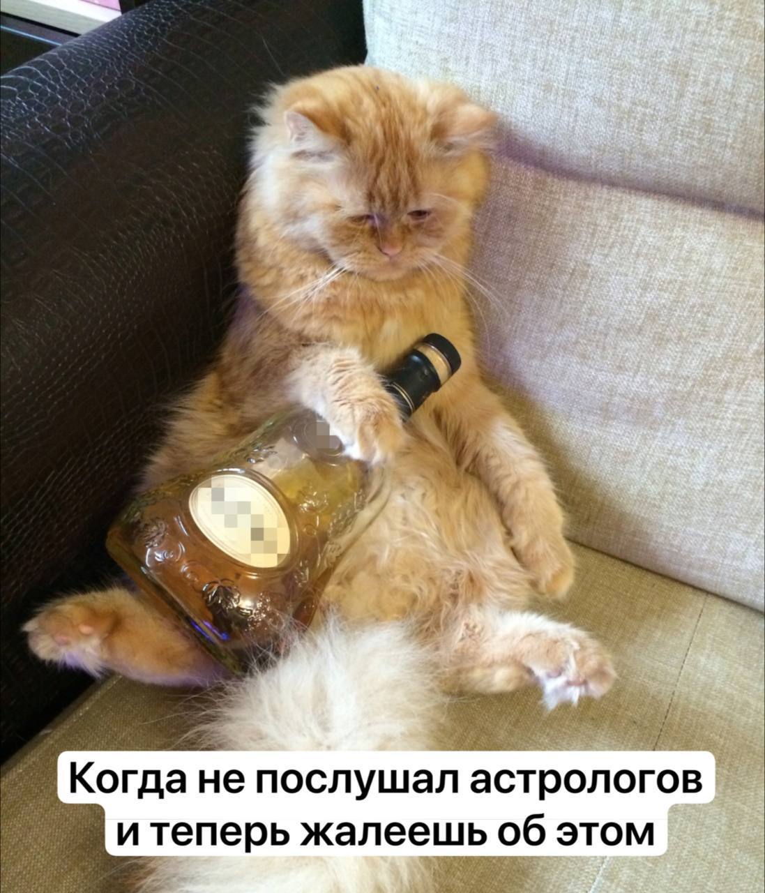 В ноябре всем запрещено выпивать уверяют астрологи Дело в том что планеты сейчас вошли в трезвое положение капля спирта может привести и к изменам и к серьёзным проблемам на работе Подписаться