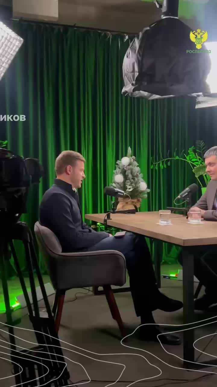 Госдума разъяснила порядок легальной рубки елок к Новому году