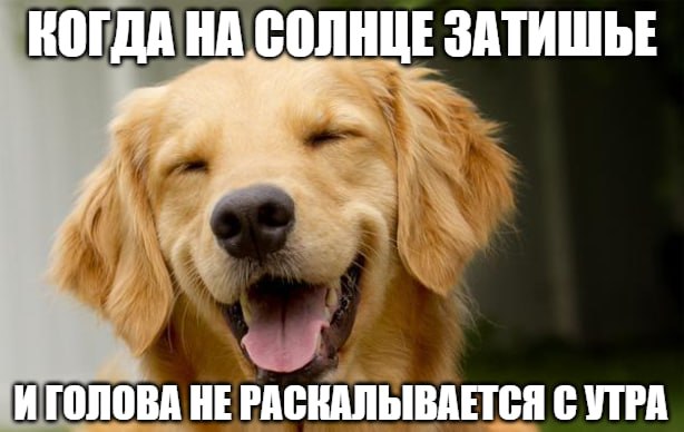 Магнитные бури отступили Радостная новость для метеозависимых: на этой неделе штормить не будет. Почти. По данным Лаборатории солнечной астрономии, сильных магнитных бурь в период с 28 июля по 3 августа не ожидается. Единственное исключение – 28 июля, сегодня. В понедельник возможна слабая магнитная буря, однако едва ли она окажет сильное влияние на ваше состояние. Небольшие возмущения также прогнозируются 1 и 2 августа. Подпишитесь на «Абзац» Добавьте «Абзац» в ленту «Дзена»