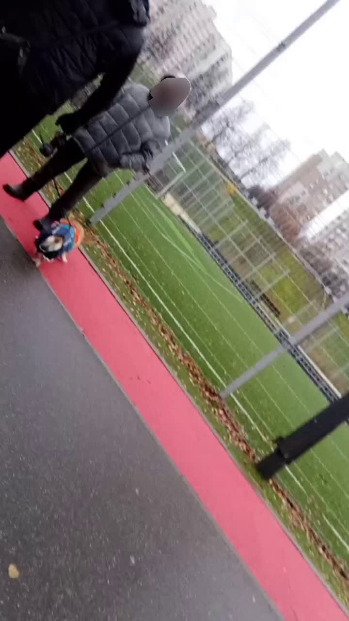 Инцидент с мужчиной, пнувшим собаку подростков в Северном Бутово