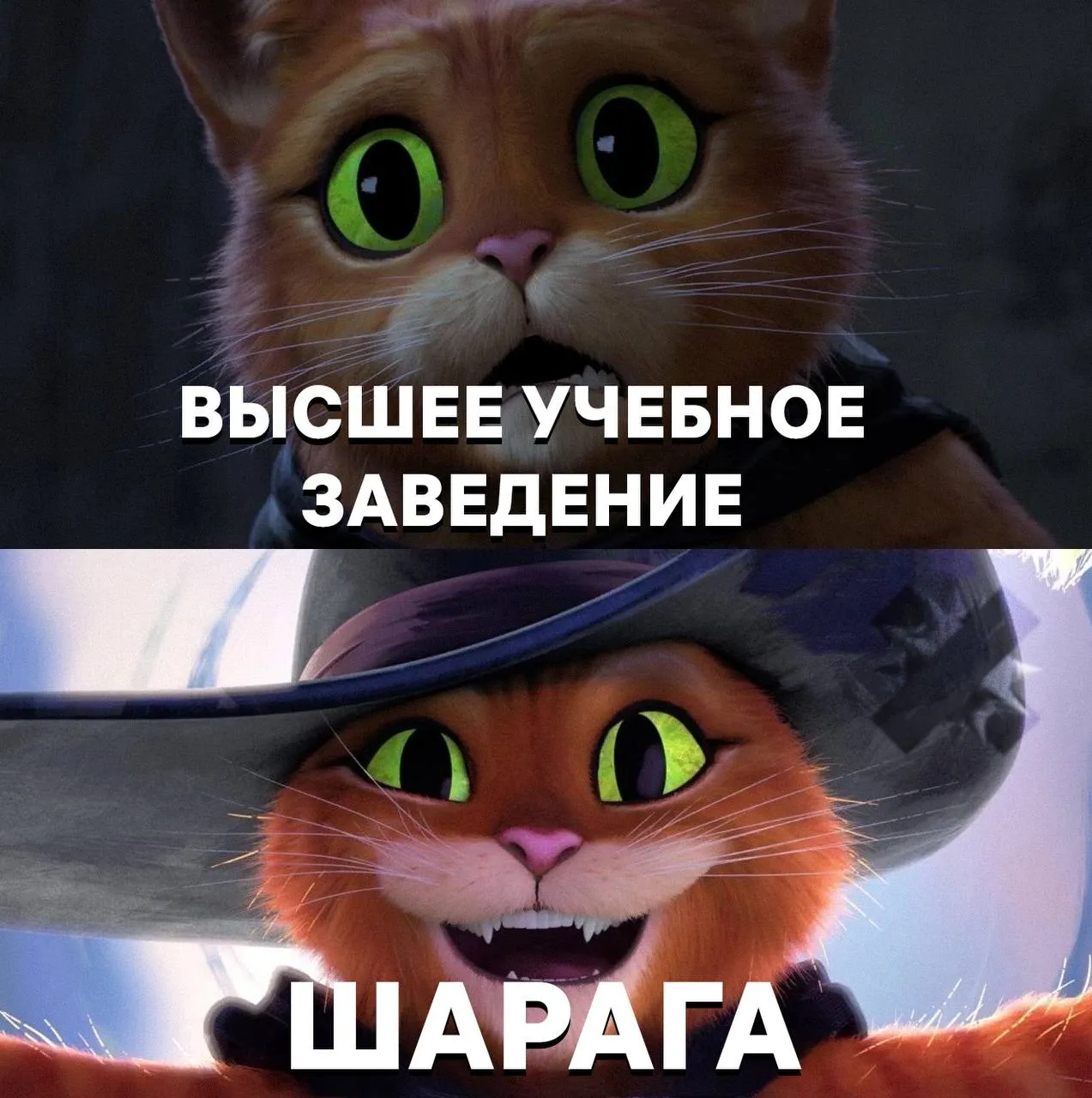 В ведущих вузах Москвы ВЗЛЕТЕЛИ цены на обучение Самым дорогим оказался МГИМО обучение там стоит от 710 тысяч до почти 1 35 млн рублей в год В МФТИ программ дешевле 1 млн рублей уже нет В НИУ ВШЭ за Прикладную математику и информатику и Экономику тоже просят 1 млн а максимальная скидка для первокурсников снизилась с 70 до 25 Часть вузов включая МГУ РАНХиГС МИФИ Бауманку Сеченовский университет РЭУ им Плеханова и МАИ цены на 2026 год пока не опубликовали а как образование получать зато диплом будет с золотым напылением НМШ