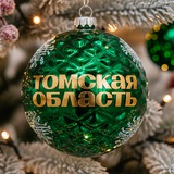 Томская область Official