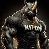 Аватар Телеграм канала: KITON