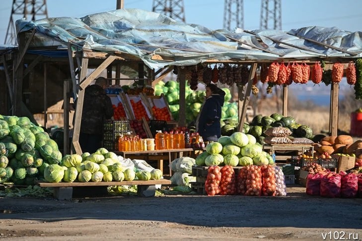 В Волгоградской области 57 тыс. га отведут под выращивание овощей  Волгоградской области аграрии планируют в 2025 году существенно нарастить производство овощей, картофеля и бахчевых. Как сообщает ИА «Высота 102», для этого под соответствующие культуры будет отведено 57 тыс. га посевных площадей. Освоение дополнительных земель поможет коллективным хозяйствам нарастить сбор продукции до 1,1 млн тонн.  Отметим, Волгоградская область занимает 3 место среди субъектов РФ по валовому сбору овощей. При этом, по данным Волгоградстата, в 2024 году под выращивание картофеля и овощей открытого грунта было отведено всего 37,1 тыс. га.