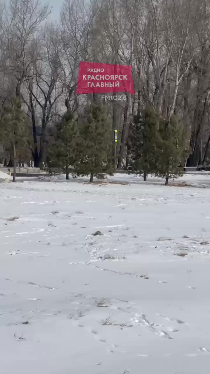 Красноярцев предупреждают об агрессивных сусликах в Татышев-парке