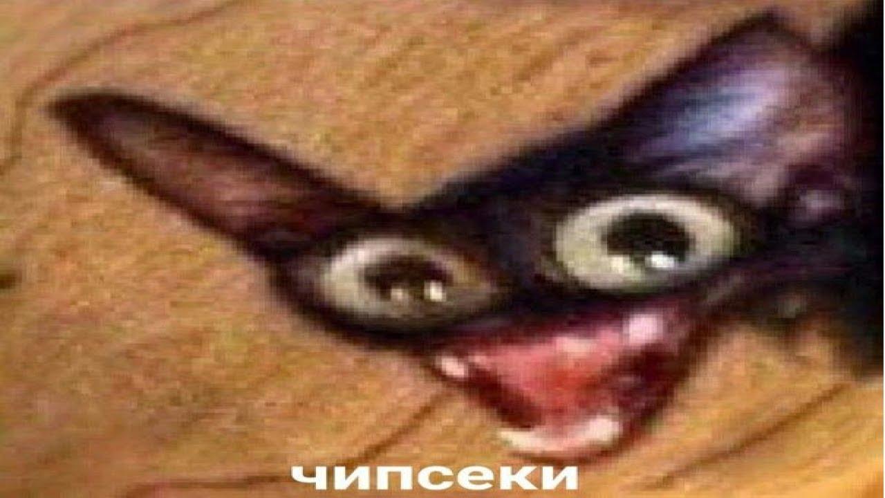 Сегодня День рождения чипсов 24 августа 1853 года в Нью Йорке посетитель ресторана в Moon s Lake Lodge закапризничал Картошка толстая режьте тоньше Шеф Джордж Крам психанул накромсал картофан в прозрачные лепестки кинул в масло посолил и случайно изобрёл чипсы Тогда их называли саратогскими чешуйками