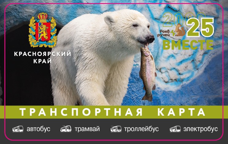 В честь юбилея Роева ручья выпустили транспортные карты с питомцами парка Всего выпущено 2500 карт: с медведицей Урсулой, дальневосточным леопардом Кирин, сенегальским галаго Чуби, филином Захаром, очковыми пингвинами Лени и Рони. Приобрести карты можно в киосках «Розпечать», «Газеты. Журналы».