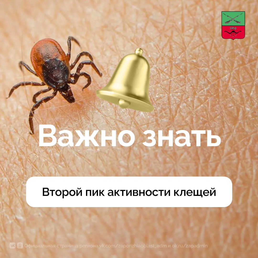 Профилактика укусов клещей С началом осени наступил второй пик активности клещей Человек может заразиться от клеща клещевым энцефалитом болезнью Лайма и другими заболеваниями Для минимизации риска контакта с клещами следует соблюдать простые рекомендации При посещении парков лесов следует отдавать предпочтение одежде максимально закрывающей тело Одежду можно предварительно обработать средствами от клещей При прогулке стоит держаться троп избегать высокой травы и кустарников важнознать Подписывайтесь на Администрацию Запорожской области в MAX