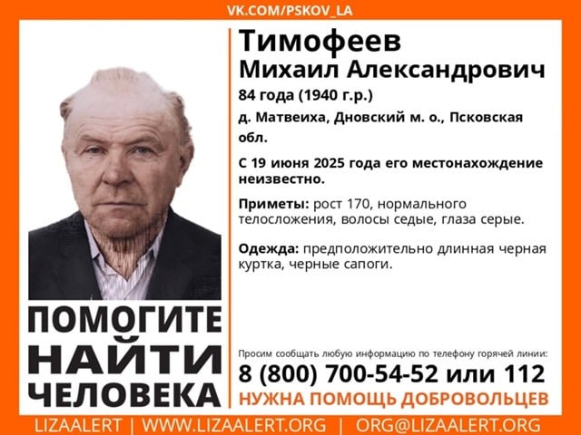 Пенсионер в длинной черной куртке пропал в Дновском округе