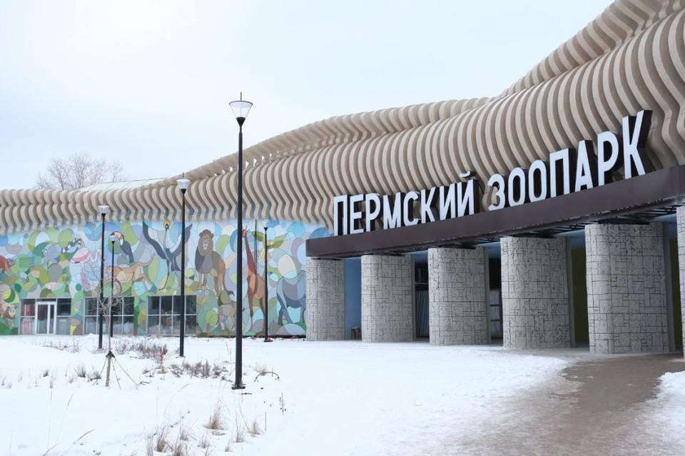 В новом зоопарке завершили строительство еще восьми зданий Среди них вольеры с павильонами, предназначенные для животных из Австралии, в том числе для кенгуру и эму; вольеры для мангустов и капских даманов, которые относятся к экспозиции «Африканская саванна». Кроме того, завершены работы по возведению вспомогательных сооружений, необходимых для полноценного функционирования зоопарка. Это дезинфекционный барьер, пункт охраны на восточном въезде, гараж, мастерские и здание для подготовки воды в водоемах. Передача объектов будет происходить поэтапно — сначала будут переданы все необходимые документы, и только потом можно будет переселять животных. Подпишись на «КП-Пермь»