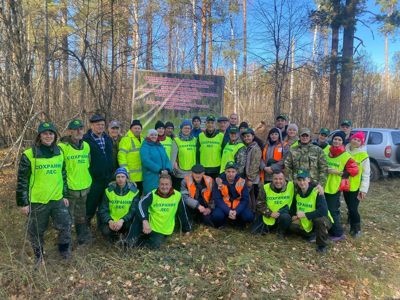 По итогам 2024 года в Ульяновской области на площади более 1,8 тысяч га высадили около 15 миллионов саженцев  Данная работа проходит в рамках акции «Сохраним лес» нацпроекта «Экология».