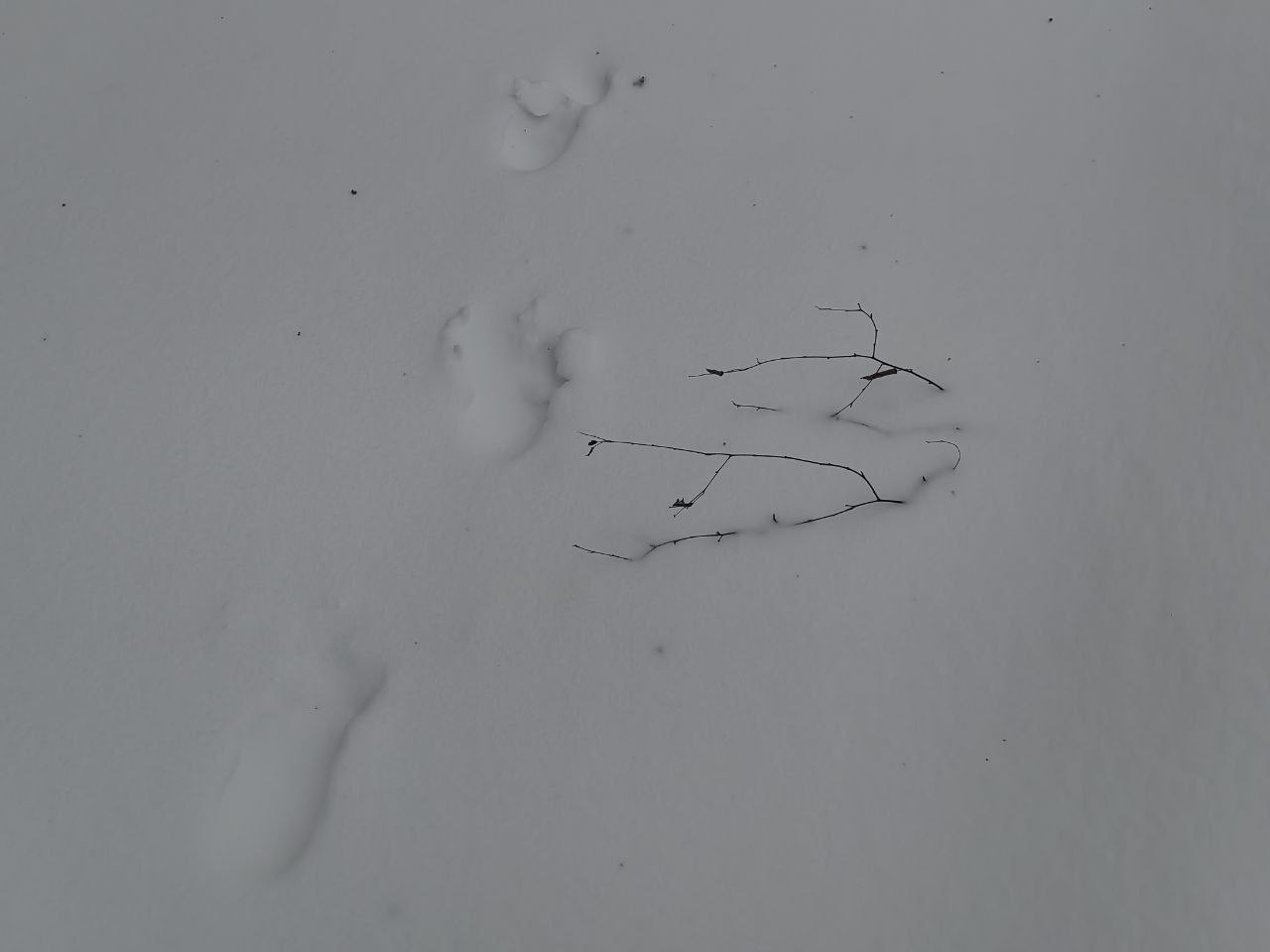 В пригороде Улан Удэ за школой обнаружили труп женщины В поселке Нижние Тальцы Заиграевского района сегодня утром на пустыре за школой обнаружили труп женщины Сообщение в дежурную часть Онохойский поступило в 10 часов утра Предварительно смерть наступила от переохлаждения Личность женщины установлена Сотрудниками районного отделения полиции проводится проверка по результатам которой будет принято правовое решение прокомментировали в МВД по Бурятии