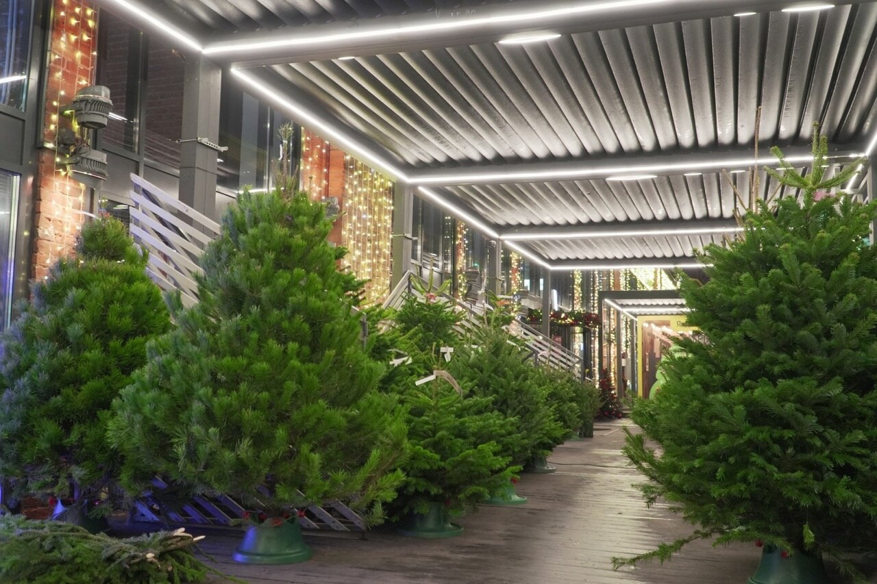 Россия сократит импорт живых новогодних елок к праздникам почти на треть до 150 тысяч штук против 220 тысяч в прошлом году сообщили в Россельхозбанке Основные поставщики Польша Беларусь Казахстан Германия а также Латвия Сербия Нидерланды и Дания лидирующая по поставкам пихты Нордмана На российских производителей приходится около 70 рынка Лидерами по заготовке живых деревьев стали Сибирский федеральный округ около 100 тысяч Приволжский 90 тыс Северо Западный 60 тыс Урал до 30 тыс и остальные регионы вместе около 50 тысяч деревьев Заготовки ведутся на землях лесфонда при этом растет доля питомников которые предлагают декоративные и посадочные варианты moscowlenta