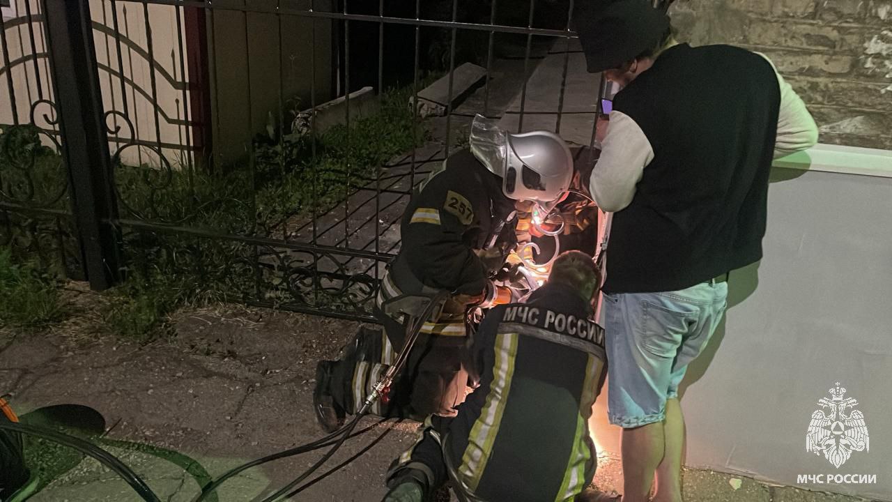 Новомосковские огнеборцы помогли собаке, попавшей в «ловушку» В железном кованом заборе на улице Дзержинского в Новомосковске застрял пушистый комочек. Маленькую собачку крепко зажало между узкими прутьями, и самостоятельно она уже не смогла освободиться. К счастью, неравнодушные люди заметили её плачевное положение и сразу же позвонили спасателям МЧС России. Огнеборцы 25 пожарно-спасательной части не отказали в помощи попавшему в беду животному и направились на место происшествия. Используя гидравлический аварийно-спасательный инструмент, специалисты чрезвычайного ведомства разжали прутья и освободили испуганную кроху из затруднительного положения. Пушистый друг человека не пострадал. Нам важна каждая жизнь! МЧС Тульской области подписаться