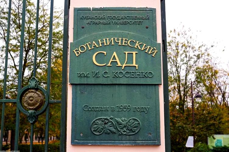 Краснодарцев предупредили о закрытии Ботанического сада Прогуляться по его территории не получится в пятницу 3 октября На этот день запланированы санитарные работы Фото МЦУ Краснодара Отправить новость Подписаться