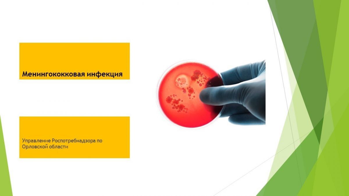 В Роспотребнадзоре прокомментировали сообщения о менингите в медколледже newsorel ru fn 1762136 html В Управлении Роспотребнадзора по Орловской области прокомментировали новость о заболевшей менингококковой инфекцией студентке медколледжа Прислать новость Подписаться