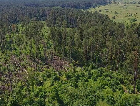 Пожароопасный сезон в Калужской области продлён до 8 июня включительно 8 июня по Калужской области сохранится высокая пожарная опасность 4 класс . Об этом предупреждает МЧС региона со ссылкой на синоптиков.