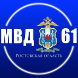 Донская полиция