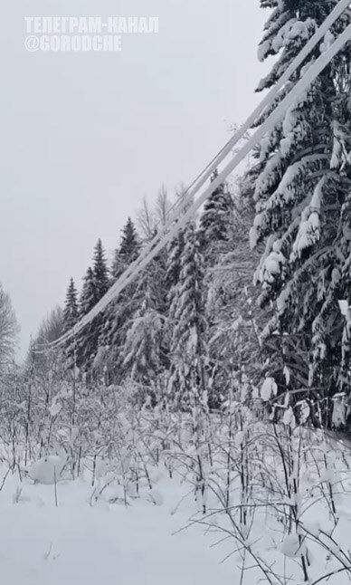 В районах продолжаются работы по восстановлению электричества На данный момент без света остаются 10926 жителей в 338 населенных пунктах По официально озвученной причине на провода налип снег и они оборвались Отключения зафиксированы в Череповецком Кадуйском Бабаевском Грязовецком и Шекснинском округах Для устранения последствий в в зоне ответственности Россетей и ВОЭК задействованы 13 бригад всего 34 человека и 13 единиц техники Сегодня после 12 00 электричество должно появиться