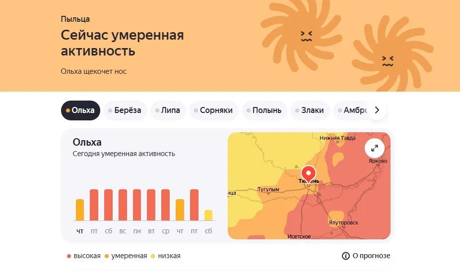С 10 апреля в Тюмени ожидается всплеск активности пыльцы ольхи Высокая концентрация аллергена в воздухе продержится минимум до 15 апреля Усугубить ситуацию может ветреная погода Тем кто страдает аллергией врачи рекомендуют принимать назначенные антигистаминные препараты избегать длительных прогулок в сухую ветреную погоду а после улицы промывать нос Отмечается что симптомы в виде заложенности носа слезотечения могут проявиться даже у тех кто обычно легко переносит сезон  Мы в MAX
