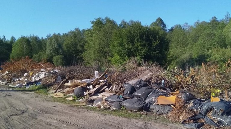 В Климово ликвидировали несанкционированную свалку на подъезде к полигону ТКО Нарушения выявили в ходе проверки исполнение законодательства об охране окружающей среды. ƃℾ подписаться прислать новость