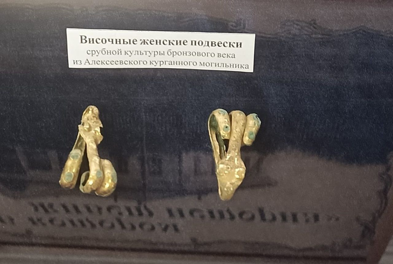 В Бугуруслане выставили женские височные подвески бронзового века Посетителям Бугурусланского краеведческого музея в честь Дня города и юбилея музея показали женские височные подвески срубной культуры бронзового века В минувшую субботу к дню города и 95 летию краеведческого музея была открыта выставка Дом где живёт история Много интересного рассказали ветераны музейного дела Валентина Тарлавина и Надежда Кияева Посетителей ознакомили с экспонатами новой экспозиции На выставке впервые были представлены женские подвески найденные в кургане на территории Бугурусланского района Украшения в виде змеек сделаны из бронзы сверху обтянуты золотой фольгой В насыпном кургане в ходе археологических раскопок в срубе был найден скелет женщины 36 39 лет рассказала Надежда Демакина директор музея При ней были эти искусно сделанные подвески По правилам они хранятся в специальном сейфе а посетители видят их копию Но сегодня в честь праздника мы решили на один день выставить оригинал
