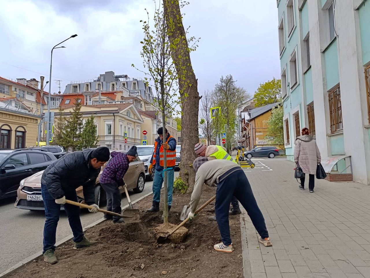 В Нижнем стартовала масштабная кампания по высадке деревьев и кустарников. На набережной Гребного канала будут сажать сосну, сирень и лапчатку «Голдфингер». А на улицах Семашко, Ковалихинской, Минина и Варварской — мелколистную липу. Только бы всё прижилось