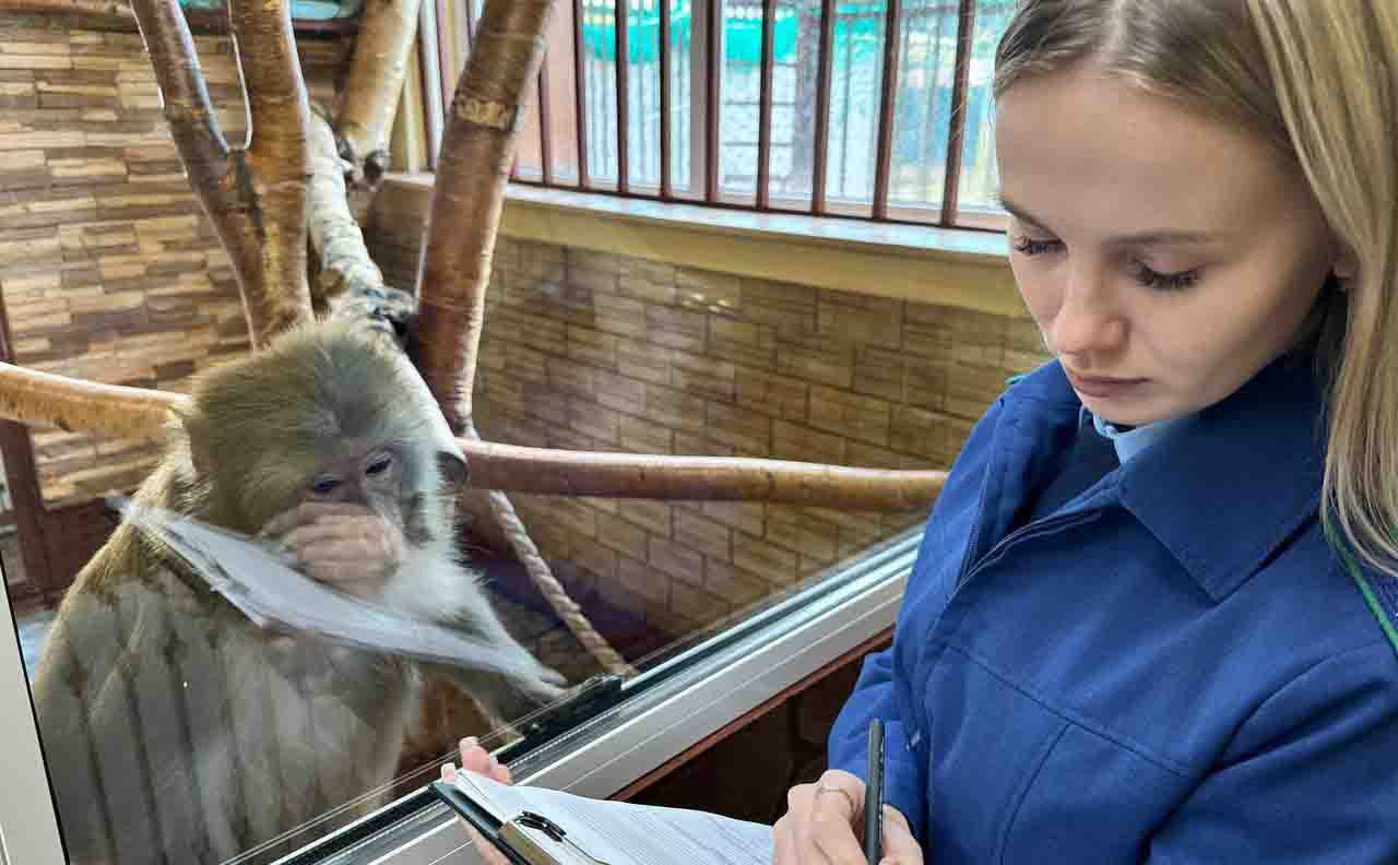 Нарушение в хранении ветпрепаратов выявили в зоопарке на Камчатке Претензий к содержанию животных у прокуратуры не было Прокуратура проверила как живут постояльцы Елизовского районного зоопарка имени А А Шевлягина Замечаний по питанию уходу и содержанию зверей у проверяющих не было Нарекания касались хранения лекарственных средств для ветеринарного применения рассказали ИА Камчатское время в пресс службе правонадзорного ведомства Подробности по ссылке   kamtime ru article d35011ea 68ec 49dc 9870 c64f2128099f