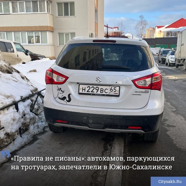 Очередных автохамов, которые беззастенчиво паркуются на пешеходных зонах, запечатлели во дворе ЖК «Аралия» Южно-Сахалинска. Кадрами «мастеров» парковки поделилась жительница жилого комплекса.