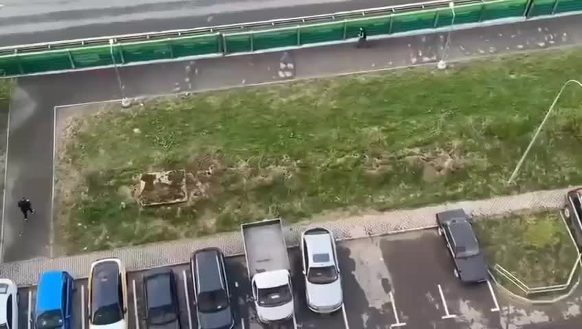 Крысы массово заселили газон ЖК Гусарская баллада в Москве