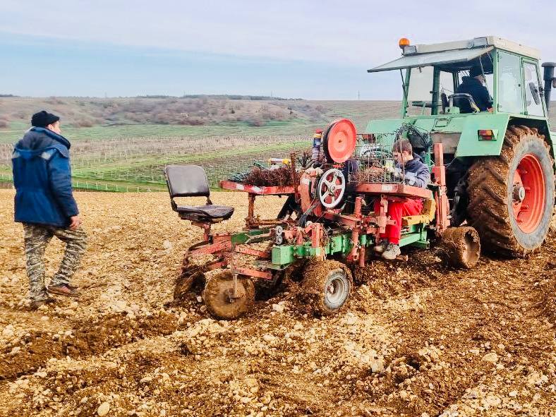 В Севастополе заложили новые виноградники на 264 гектарах Это на 20 больше чем планировали в этом году сообщил губернатор Михаил Развожаев Аграрии выращивают такие сорта как Кокур Шардоне и Пино Нуар Закладка виноградников ведется с применением передовых агротехнологий Одно из хозяйств использует механизированную посадку под гидробур такой метод не только повышает приживаемость растений но и ускоряет выход виноградника на полную продуктивность написал Развожаев Он добавил что на развитие отрасли виноградарства и виноделия в этом году Севастополю выделено почти 740 миллионов рублей 98 из которых уже доведены до предприятий 0 Подписаться на РИА Новости Крым в Telegram MAX VK